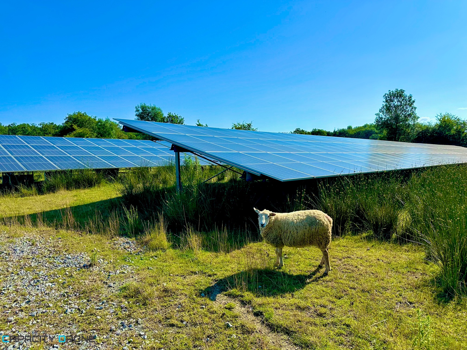 Rapport thermique panneaux solaires
